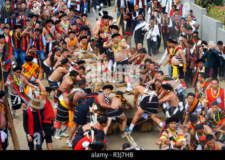 Stein ziehen Zeremonie, während Kisima Nagaland Hornbill Festival, Kohima, Nagaland, Indien Stockfoto