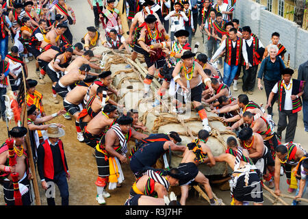 Stein ziehen Zeremonie, während Kisima Nagaland Hornbill Festival, Kohima, Nagaland, Indien Stockfoto