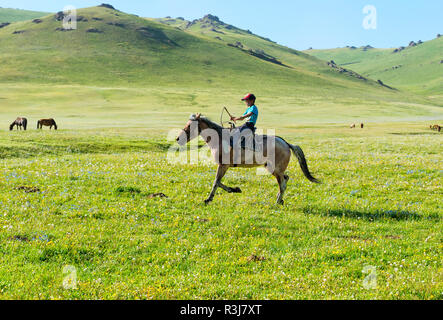 Kirgisische junge Reiter sein Pferd, Song Kol See, Provinz Naryn, Kirgisistan, Zentralasien Stockfoto