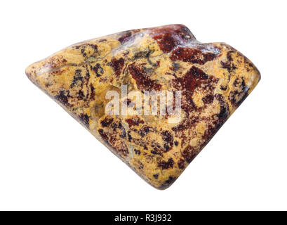 Makrofotografie von natürlichen Mineral aus geologische Sammlung - polierte motley Jaspis auf weißem Hintergrund von Ural isoliert Stockfoto