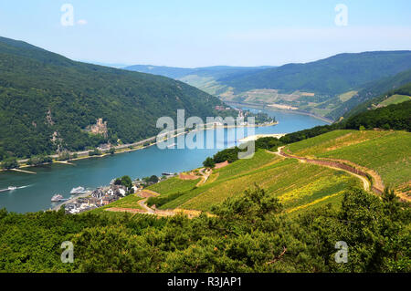 Tolle Aussicht über den Rhein von der Spitze des Hügels in Rüdesheim, Deutschland Stockfoto