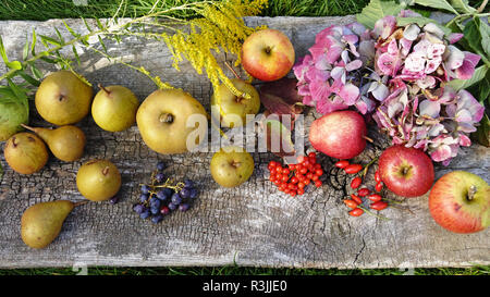 Birnen und Äpfel (Grau fallen Reinette, Starkinson, Königin Pippin aus dem Garten (Suzanne's Garden, Le Pas, Mayenne, Pays de la Loire, Frankreich). Stockfoto