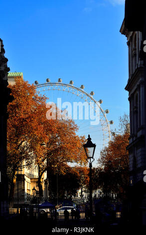 London Eye/Millennium Wheel aus Downing Street, London, England, UK gesehen. Herbst (November 2018) Stockfoto