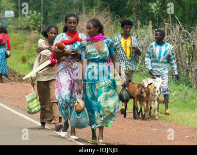 Menschen auf Reisen in Simien Berge, Äthiopien Stockfoto