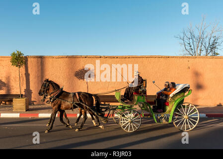 Pferdewagen (caleche) mit Touristen vor der rot-orange Stadtmauer von Marrakesch (Marrakesch), Marokko Stockfoto