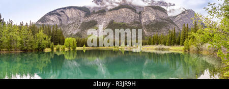 BANFF, AB, Kanada - Juni 2018: Panoramablick von Cascade Teiche am Ortsrand von Banff, Alberta, Kanada. Stockfoto