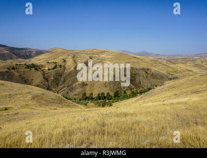 Sisian Landschaft Steppe Ansicht mit trockenem Gras und Bäume im Tal Stockfoto