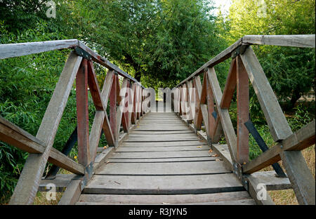 Landschaft hölzerne Brücke über einen Fluss von üppigen grünen Laub Stockfoto