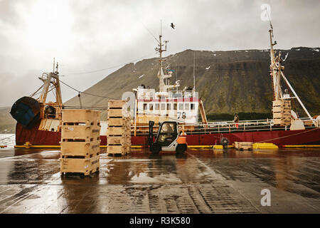 Ein isländischer Fischtrawler, der im Hafen von Isafjordur in der Region Westfjorde in Island landet - Fischfang Stockfoto