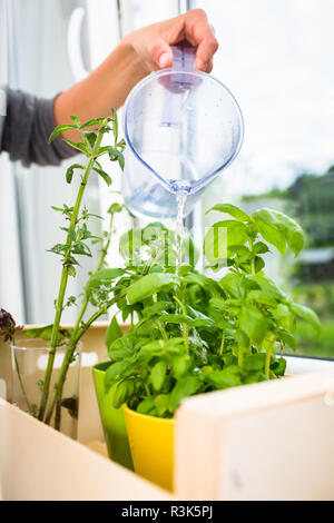 Stockfoto