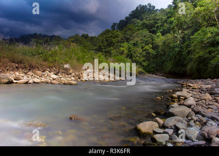 Khichdi Fluss, Corbett Tiger Reserve, Uttarakhand, Indien. Stockfoto