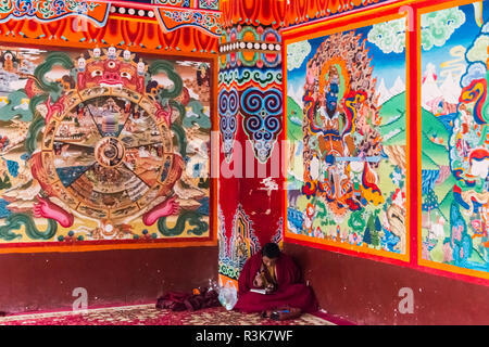 Mönch studieren Buddhistische Schrift in Seda Larung Wuming, der weltweit grössten tibetischen buddhistischen Institut, Garze, Provinz Sichuan, China Stockfoto