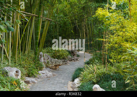 Gewundenen Weg durch Bambushain, Geyuan Garten, Yangzhou, Provinz Jiangsu, China Stockfoto