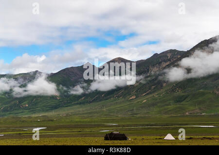 Tibetische Jurten auf der Wiese, Litang, westliches Sichuan, China Stockfoto