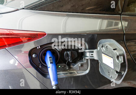 Ein elektrisches Hybridfahrzeug ist gesteckt zu Hause mit einem blauen Stecker. Stockfoto