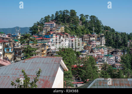 Blick auf die umliegenden Hügel und Kasumpti in Shimla, Himachal Pradesh Stockfoto