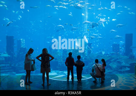 UAE, Dubai, Palm Jumeirah, Atlantis, The Palm, Hotel, Innenraum aquarium Stockfoto