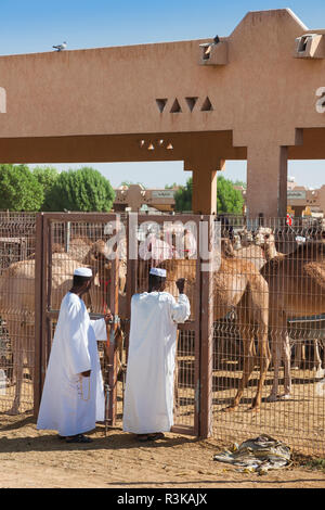 Emirate, Al Ain. Jabel Hafeet, Al Ain Kamel Markt Stockfoto