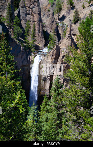 Der Turm fällt der Yellowstone River. Die beliebtesten Wasserfall im Yellowstone National Park, Wyoming, USA Stockfoto