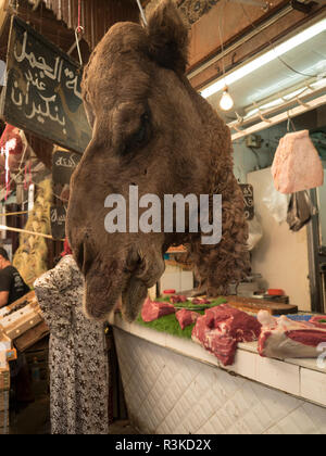 Kamel Kopf bei Metzgerei in Fes, Marokko. Stockfoto