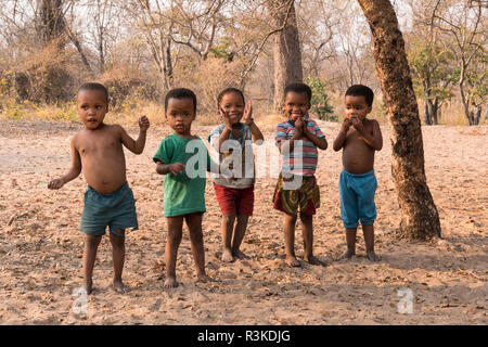 Gruppe kleiner Kinder von den San Buschmännern Stamm, östlichen Namibia, Afrika. (Redaktionelle nur verwenden) Stockfoto