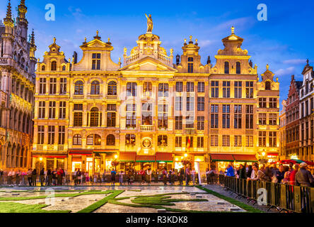 Bruxelles, Belgien. Nacht-Bild mit mittelalterlichen Architektur in Grand Place (Grote Markt). Stockfoto
