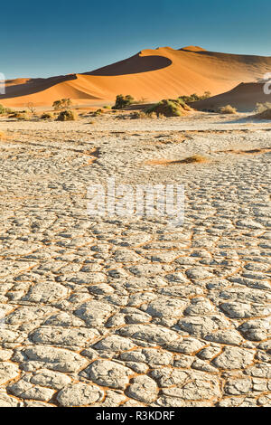 Trocken und rissig Schlamm mit den Sanddünen von Sossusvlei, Namibia Stockfoto