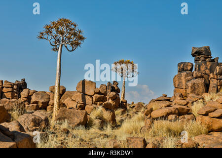 Afrika, Namibia, Keetmanshoop. Riesen" Spielplatz im Köcherbaumwald Rest Camp Stockfoto