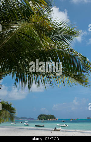 Seychellen, Praslin. Cote d ' or, einer der schönsten Strände auf der Insel. Stockfoto