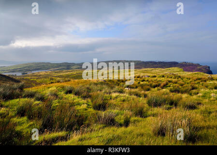 Irland, Ulster, County Antrim, Ballymoney, dunklen Hecken (das Bügeleisen Inseln im Spiel der Throne Serie) Stockfoto