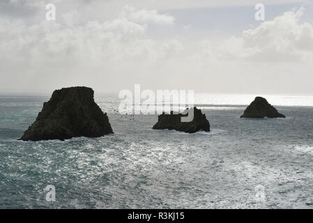 Camaret-sur-Mer (Bretagne, North Western Frankreich): Pointe de Pen Hir Landspitze mit Felsen der 'Tas de Pois'. Die Halbinsel Crozon Stockfoto