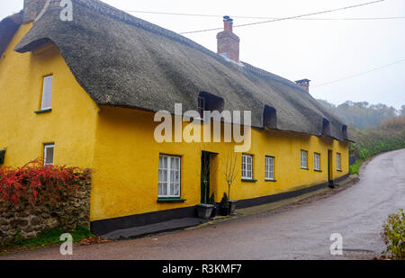 Gelbe strohgedeckten Cottages im Branscpmbe Dorf im East Devon, Großbritannien Stockfoto