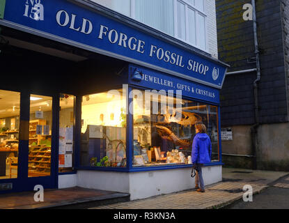 Die Alte Schmiede Fossil Shop in Lyme Regis West Dorset Großbritannien mit Tyrannosaurus rex Modell im Fenster Stockfoto