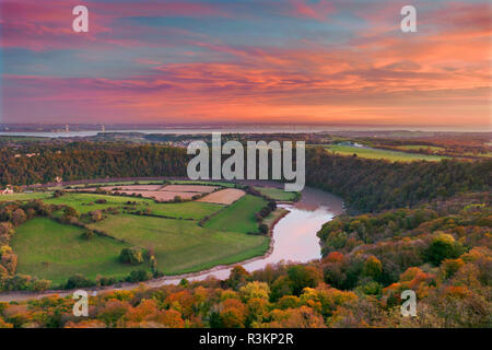 Obere Wyndcliff, Fluss Wye und Severn Estuary, Wye Valley, Monmouthshire, Wales, Großbritannien Stockfoto