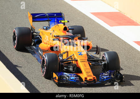 Abu Dhabi, VAE. 23. November 2018, Yas Marina, Abu Dhabi, Vereinigte Arabische Emirate, Etihad Airways Formel 1-Grand Prix von Abu Dhabi, Freitag Freies Training; McLaren, Stoffel Vandoorne Credit: Aktion Plus Sport Bilder/Alamy leben Nachrichten Stockfoto
