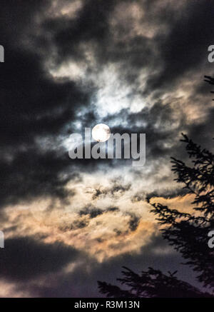 Ardara, County Donegal, Irland, den 23. November 2018. Vollmond steigt unter einem bewölkten Himmel an der Nordwestküste. Credit: Richard Wayman/Alamy leben Nachrichten Stockfoto