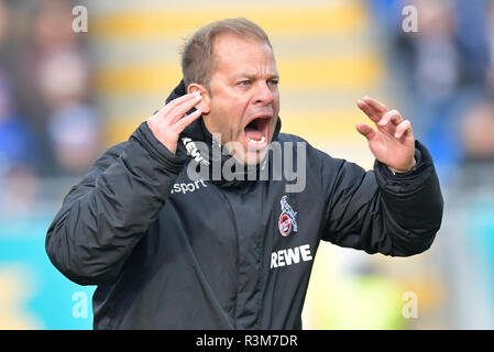 Darmstadt, Deutschland. 24 Nov, 2018. 2. Fussball Bundesliga, SV Darmstadt 98 - 1. FC Köln, den 14. Spieltag, in der Merck Stadion am Böllenfalltor. Köln Trainer Markus start gestikulierte. Foto: Uwe Anspach/dpa - WICHTIGER HINWEIS: In Übereinstimmung mit den Anforderungen der DFL Deutsche Fußball Liga oder der DFB Deutscher Fußball-Bund ist es untersagt, zu verwenden oder verwendet Fotos im Stadion und/oder das Spiel in Form von Bildern und/oder Videos - wie Foto Sequenzen getroffen haben./dpa/Alamy leben Nachrichten Stockfoto