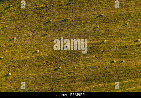 Antenne drone Foto von Heu Brötchen, Ballen im weizenfeld am späten Nachmittag Leuchten Stockfoto