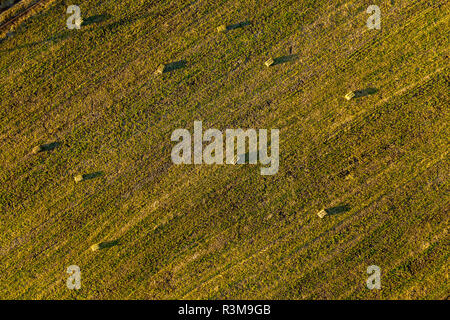 Antenne drone Foto von Heu Brötchen, Ballen im weizenfeld am späten Nachmittag Leuchten Stockfoto