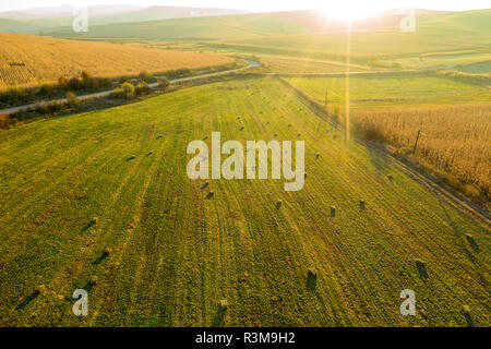 Antenne drone Foto von Heu Brötchen, Ballen im weizenfeld am späten Nachmittag Leuchten Stockfoto