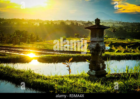 Sonnenaufgang über dem jatiluwih Reis terrasse Felder in Bali. Stockfoto