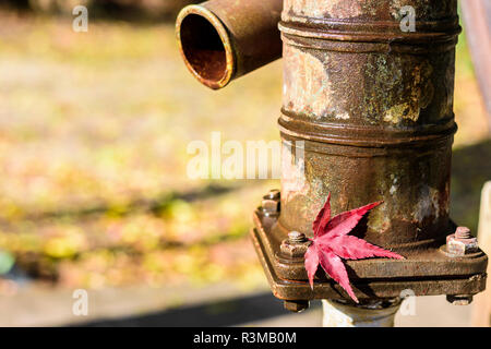 Eine rote japanische Ahorn baum Blatt auf einem alten Brunnen hand Wasserpumpe in Japan im Herbst oder fallen. Stockfoto