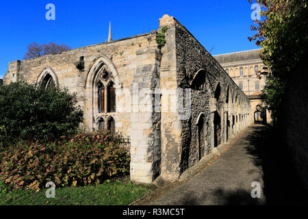 Die Kreuzgänge, Peterborough Kathedrale, Cambridgeshire, England; Großbritannien; UK Stockfoto