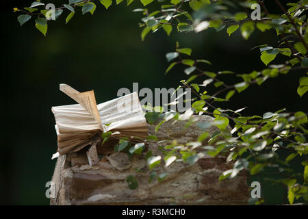 Wind drehen Seiten aus dem Buch Handauflegen zerstörten Mauer der Terrasse Stockfoto