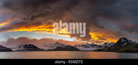 St. Andres Bay auf South Georgia Island während des Sonnenuntergangs. An der Küste ist eine riesige Kolonie von Königspinguine (Aptenodytes patagonicus) Stockfoto