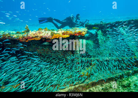 Zucker Wrack, nördlichen Bahamas, Karibik Stockfoto