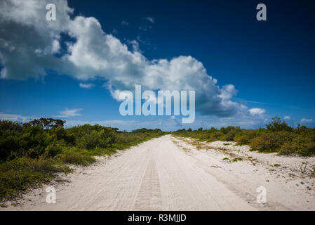 Britische Jungferninseln, Anegada. Knochen Bight, unbefestigte Straße Stockfoto