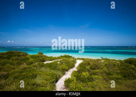 Britische Jungferninseln, Anegada. Knochen Bucht Strand Stockfoto