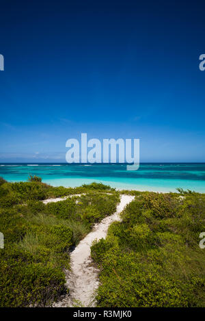 Britische Jungferninseln, Anegada. Knochen Bucht Strand Stockfoto