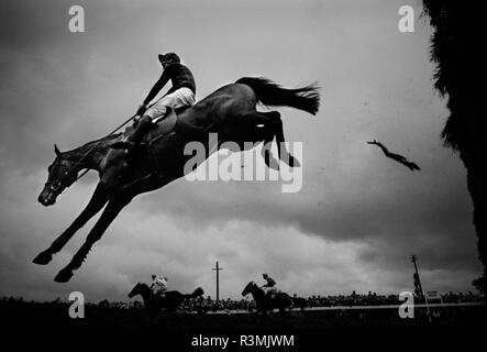 Grand National Rece Sitzung Aintree Liverpool England Großbritannien 1986 Pferde springen über Becher's Brook Zaun, wo viele Pferde fiel. Stockfoto